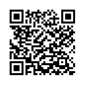 Play Store QR